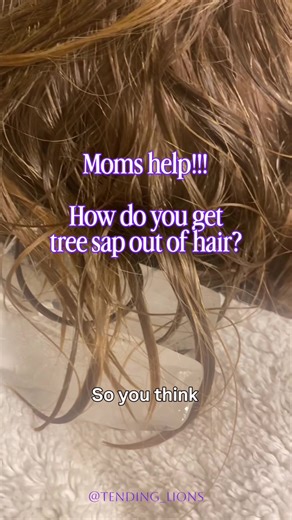 Help!! What can we use to get sap out of his hair?? They thought making a whole in the tree was just too fun and got a bit carried away!!!! #outdoorkids #treesap #hair #boymom #help