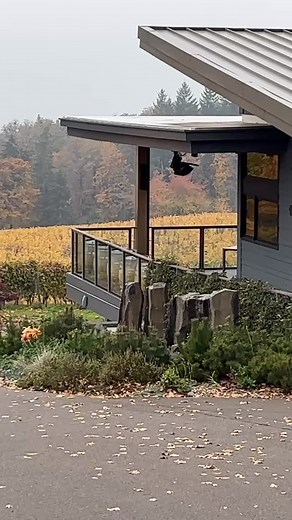 Embrace Oregon Tours on Reels