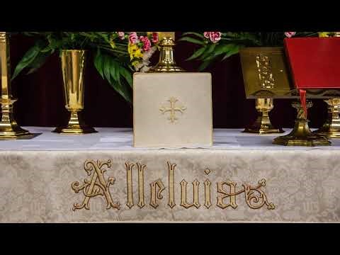 Adult Catechism Hour 11/23/25