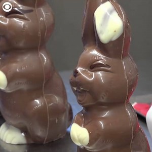 38K views · 698 reactions | A bakery in Switzerland is making chocolate Easter bunnies that are wearing protective masks. https://www.khou.com/food | KHOU 11 News | Facebook