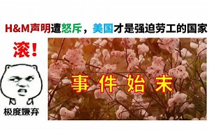 H&M事件始末，引发众怒活该被骂，可原来美国才是强迫劳工的国家？【知趣吐槽】