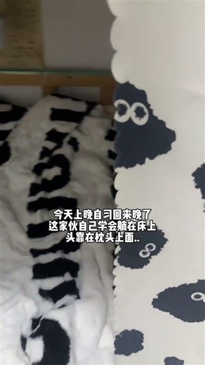 Miao Sang's Sleepy Adventures: A Cat's School Diary Unveiled