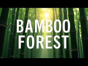 Japanese Bamboo Forest 4K | Arashiyama Zen Atmosphere TV Wallpaper 12 Hours