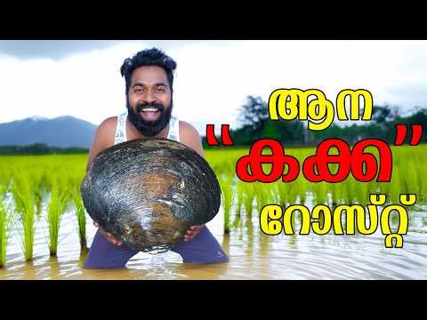 ആന കക്കാ റോസ്റ്റ് | Giant Clams Roast | M4 Tech |