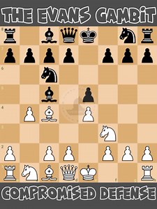5.3K views · 55 reactions | Learn the Evans Gambit: Compromised Defense ♟️ #chessmaster | Chess Master | Facebook