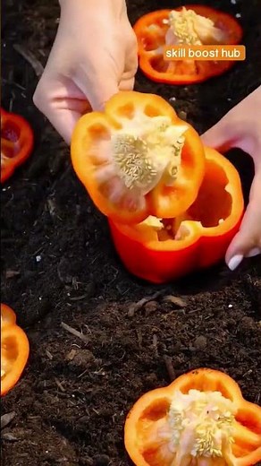 Easy Gardening Tricks That Always Work #learning