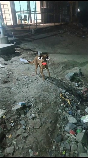 to use ka matlab#funny