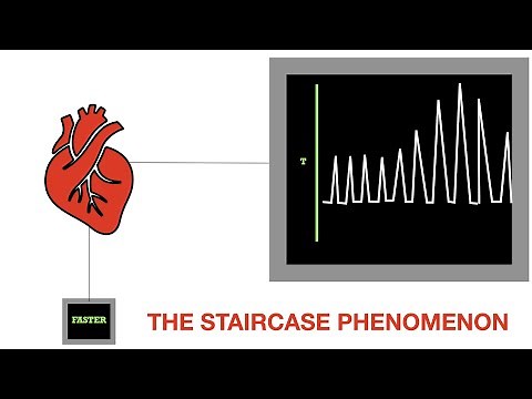 THE STAIRCASE PHENOMENON