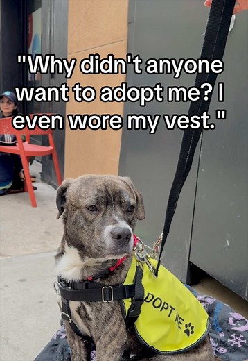 Deuce's Adoption Journey: A Second Chance Story