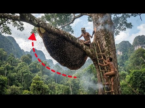 Giant Tree, Wild Bees, No Fear – Real Jungle Honey Harvest!