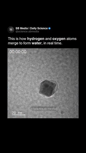 153K views · 497 reactions | The formation of water at the molecular...
