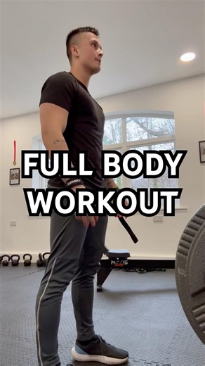 Full Body Workout