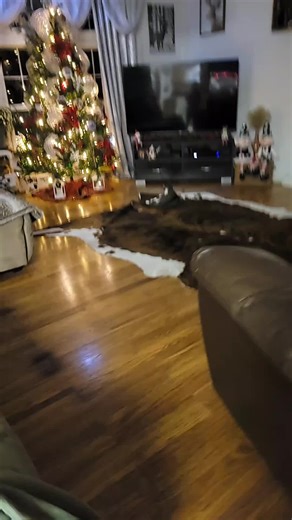 Melissa Fitzgerald (@melissafitzgerald0)’s videos with Shake - PJ Vegas