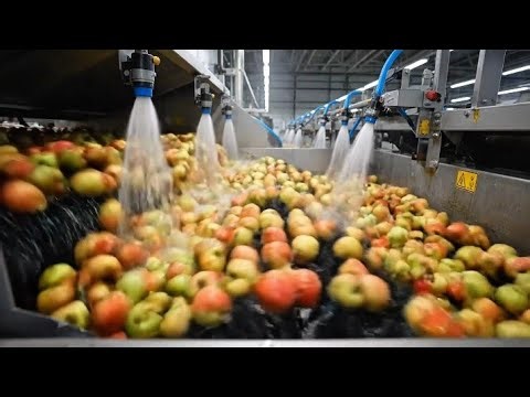 Inside A Fruit Juice Factory How Juices Are Made || Automated Factory Process