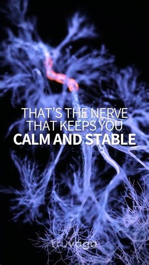 Hot Flashes? Your Nervous System Might Be Involved