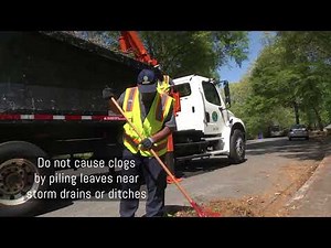 Yard Waste Pickup (Greenville, SC)