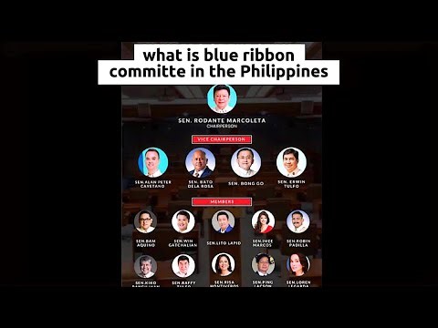History explained 14 | What is blue ribbon committe? 
