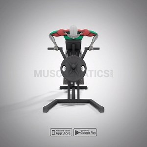Visualize which #muscles are activated while doing a T-Bar Row #workout! MuscleMatics 2.0 is hitting the App Store and Google play soon! #followthemovement Tag a workout buddy and share this visualization! | MuscleMatics | Facebook