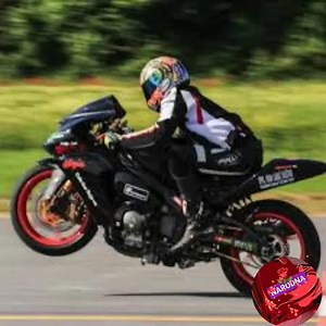 33K views · 2.4K reactions | Divlje Jagode-motori | Narodna u srcu | Facebook