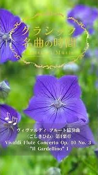 1分クラシック♪ヴィヴァルディ フルート協奏曲 ごしきひわ #クラシック #名曲 #朝