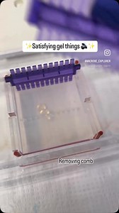 440K views · 5.5K reactions | #microbiology #microbiologist #microbiologylab #explorepage #bacteriology #microbe #science #molecularbiology #kesfet #virology #pcr #lab #molecular #lifescience #phd #gel #microbiologia #mikrobiyoloji #bakteri | Medical Microbiologist | Facebook