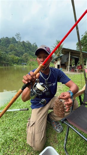 Uji Kekuatan Rod Patin Mekong untuk Umpan Berat