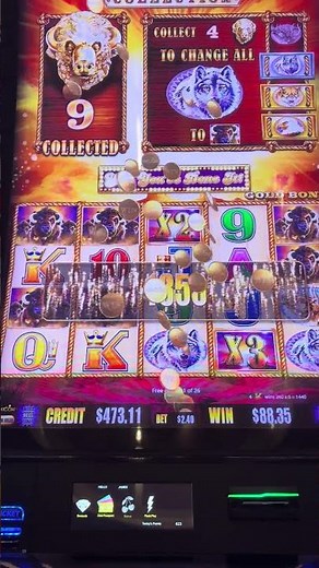MASSIVE WIN in bonus on BUFFALO GOLD!! 🥇🥇🥇