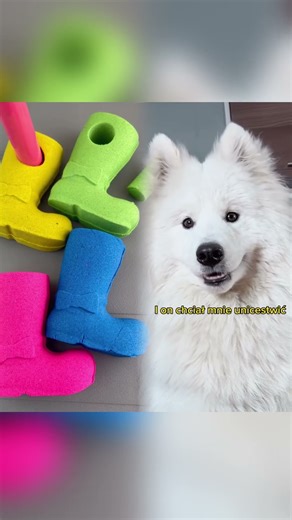 Stefek kontra jego wielki wróg 😂 #humor #pies #śmieszne