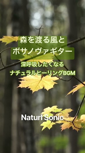 深呼吸したくなるナチュラルヒーリングBGM「森を渡る風とボサノヴァギター」