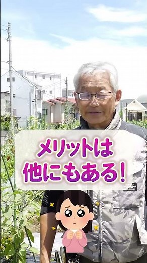 家庭菜園や農園で超簡単な雑草対策！雑草対策におすすめのアイテムと雑草の活用方法をご紹介！【農園ライフ】#shorts