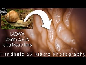 Handheld Macro Photography with Ring-Light? Laowa 25mm 2.5-5X Macro Lens