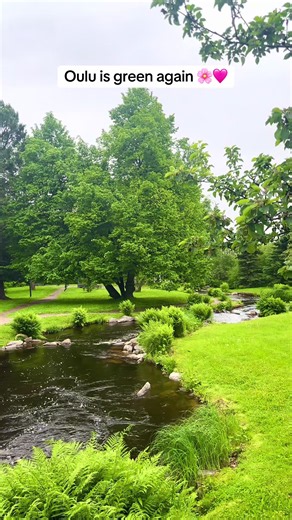 Oulu summer scenery: slow down and appreciate the little things