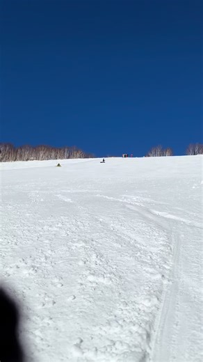 Snowboarding in Japan: Ultimate Carving Tips