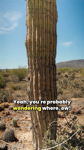 1K views | Performance should never be limited by climate — or by...