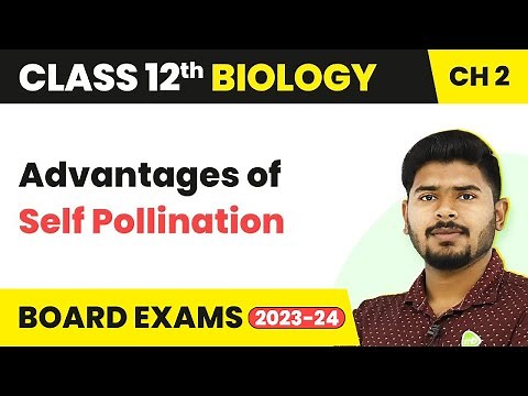 Advantages of Self Pollination | Class 12 Biology Chapter 2 NCERT/NEET 2022-23