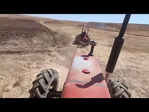 Returning from the Farm with Vintage Massey Ferguson 285 & ITM 485 | Old Tractors 4WD