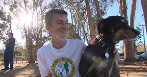 Shelter dogs let loose for a run