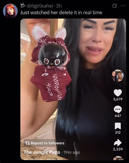 @operation.may | “KSI labubu” - - - #fyp #shitpost #shitposting #fypage #fypreelsシ゚ #tiktoktiktok #labubu | Instagram