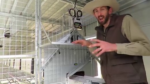 Here is a quick overview of our Chicken Caravan 450. - Houses 450 laying hens - Auto open/close nesting boxes - This model has Auto Hen doors and a nipple drinker system - Improve your pasture and increase your income - Order now and Receive your NEW Chicken Caravan 450 before Christmas | Chicken Caravan