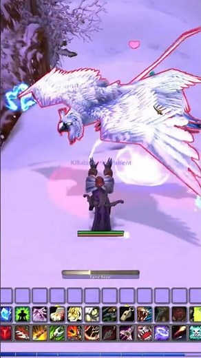 Snowy Owl Success! 🦉 Taming Hell-Hoot in WoW! #worldofwarcraft #gaming #wow #hunterpets #wowhunter