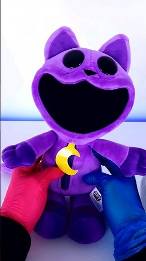 Official CATNAP Plush Unboxing!