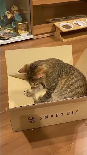 ダンボールの強度を点検