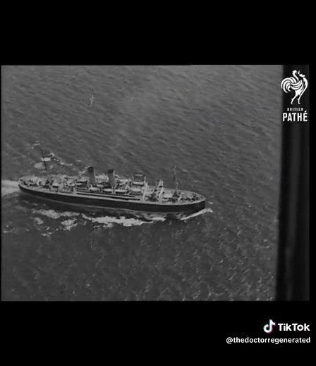 thedoctorregenerated on TikTok