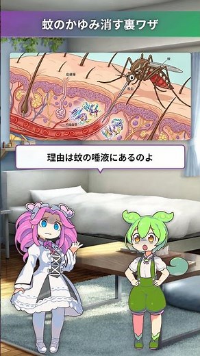 「蚊に刺された」痒みのやわらげ方 #ずんだもん #四国めたん #ゆっくり解説 #雑学 #健康 #蚊 #夏