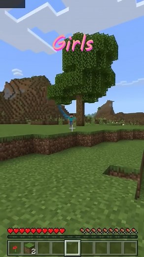 549K views · 10K reactions | Girls vs Boys When seen Herobrine #girlsvsboyswhentheyseeherobrine #herobrine #minecraftboysvsgirls | Elegant Treat | Facebook