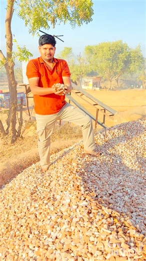 Manoj balot on Instagram: "#viral #trendingreels #manojbalot #trector #farming"