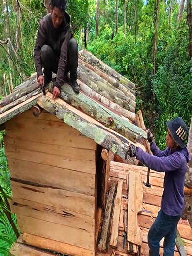 Essential Tips for Solo Camping and Survival Skills