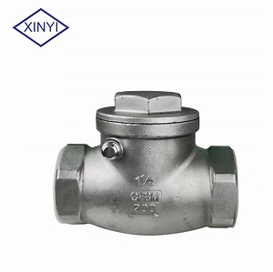 [Hot Item] Ss Stainless Steel Horizontal Swing Check Valve Screwed Fitting Good Price NPT BSPT SS304