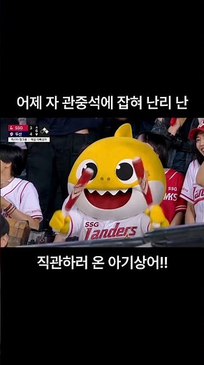 야구장에 놀러온 아기상어?! ⚾️ #아기상어 #직관