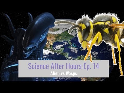 Science After Hours - AvW: Aliens vs Wasps